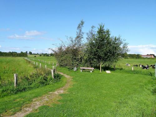 Apartamento Ferienwohnung-otzens-kleine-dachkammer