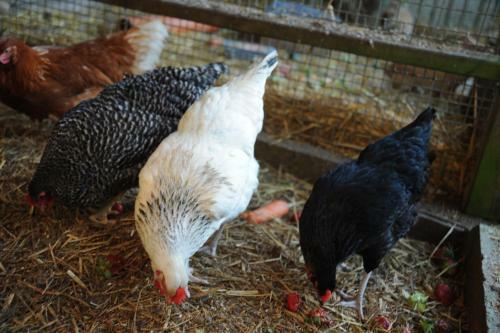 Agroturismo Bauernhof K�hlbrandt