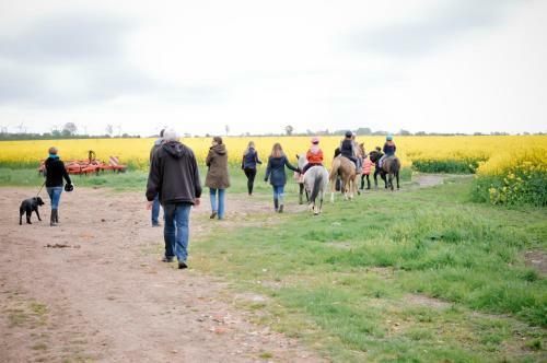Agroturismo Bauernhof K�hlbrandt
