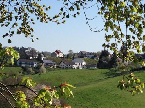 Apartamento Fewo Vulkaneifel