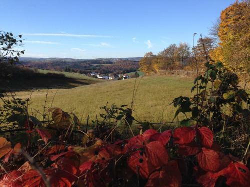 Apartamento Fewo Vulkaneifel