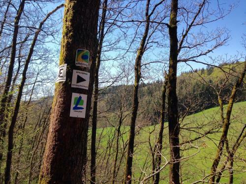 Apartamento Fewo Vulkaneifel