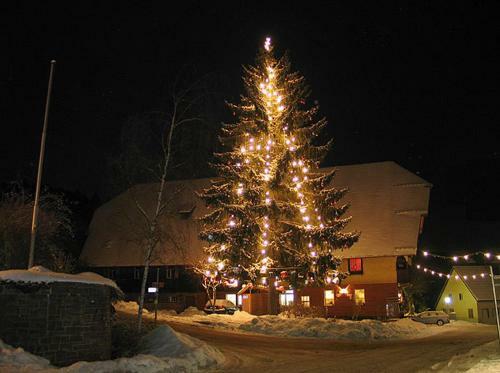Hostal Landgasthof L�wen