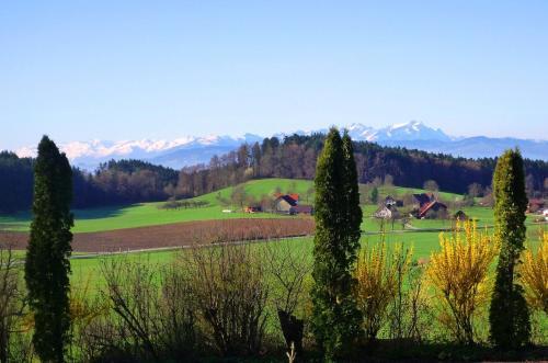 Apartamento Ferienwohnung Messner