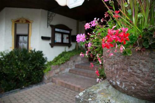 Hostal Traditionsgasthof Zum Luedertal