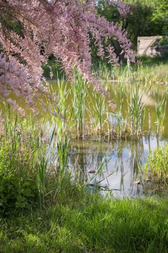 Hostal Landhaus Elbeflair Bei D�mitz