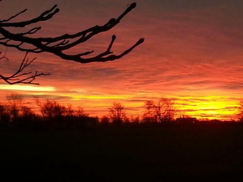 Roskilde B&B