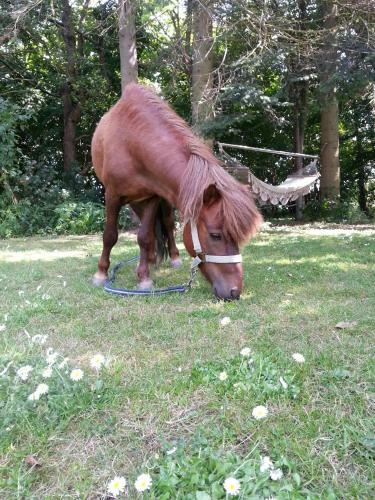 Roskilde B&B