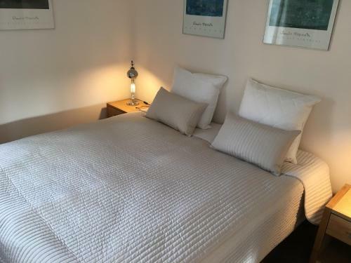 Bed & Breakfast Aloe Vera Gaardens B & B