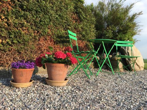 Bed & Breakfast Aloe Vera Gaardens B & B