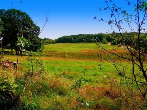 Randb�ldal Camping & Cabins