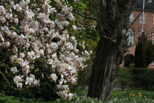 Bed & Breakfast Vemmetofte Pr�steg�rd