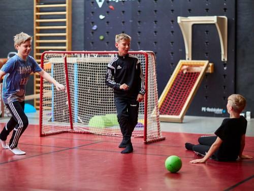 Danhostel Vejen Sport