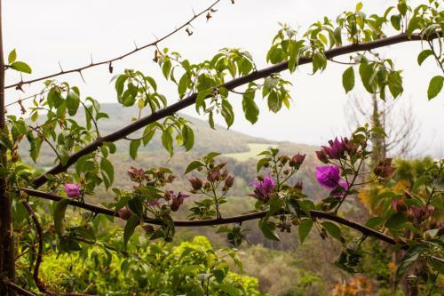 Agroturismo Masia Can Pou