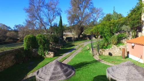 Agroturismo Almazara De San Pedro