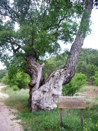 Casas Rurales Campolibre