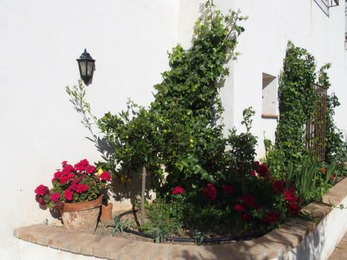 Agroturismo Cortijo Sancardo