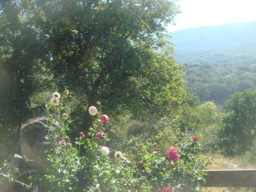 Agroturismo La Casa De Irene