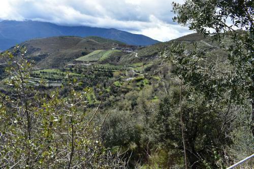 Apartamento Dreams Alpujarra
