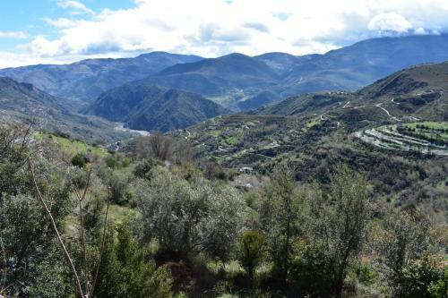 Apartamento Dreams Alpujarra