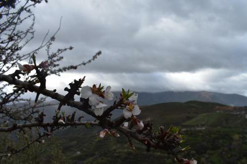 Apartamento Dreams Alpujarra