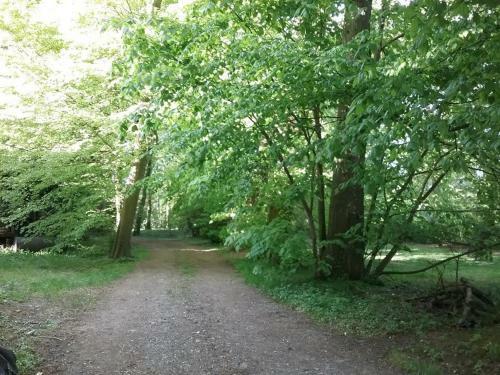 Bed & Breakfast Ch�teau Des Marronniers