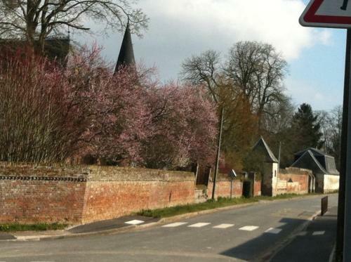 Bed & Breakfast Ch�teau Des Marronniers