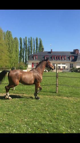 Hostal Le Domaine De Barbizon