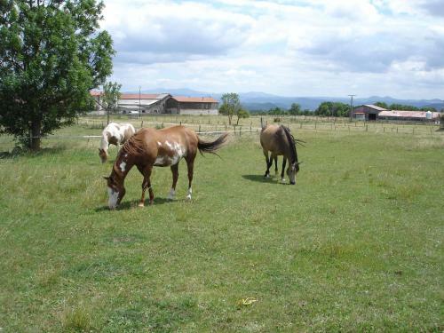 Bed & Breakfast Au Bon Gre D'hugoline
