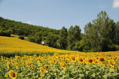 Bed & Breakfast La Mouline