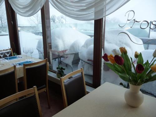 Hotel Panorama Windegg