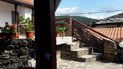Hostal Sharkova Guest House