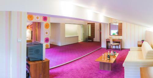Spa Hotel Borova Gora