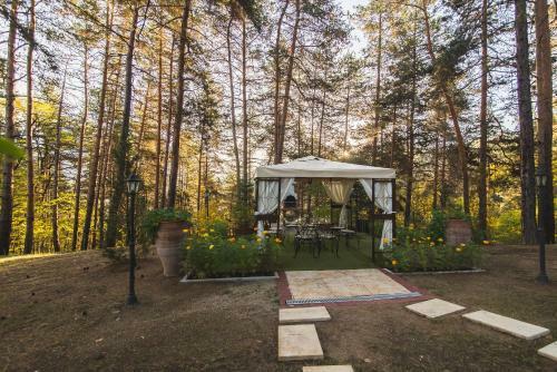 Spa Hotel Borova Gora