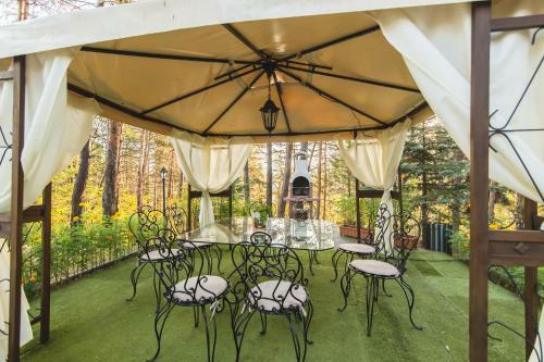 Spa Hotel Borova Gora