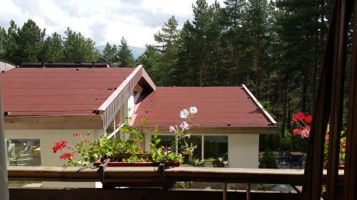 Spa Hotel Borova Gora