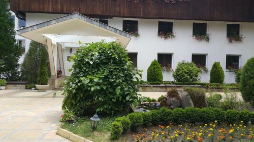 Spa Hotel Borova Gora