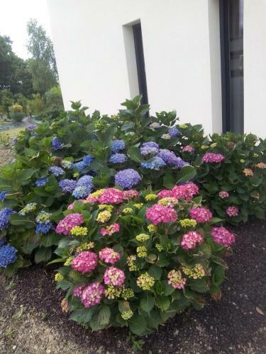 Bed & Breakfast Chambre D'h�tes Les Bruy�res