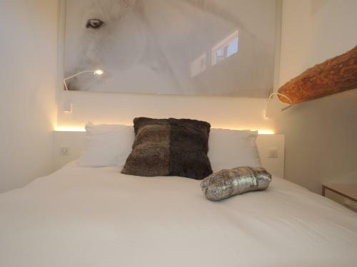 Beautiful & Confortable Apartment