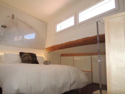 Beautiful & Confortable Apartment