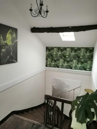 Bed & Breakfast Vingt Grand Rue