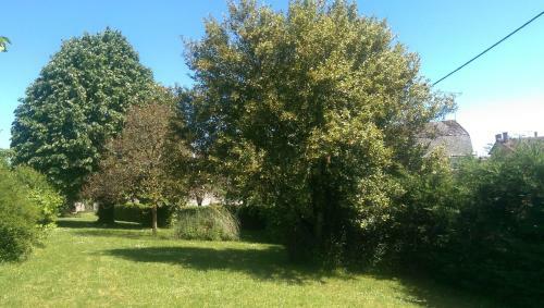 Bed & Breakfast Vingt Grand Rue