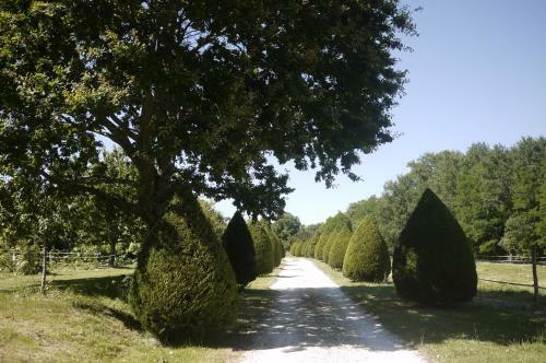 Bed & Breakfast Domaine De Puytirel