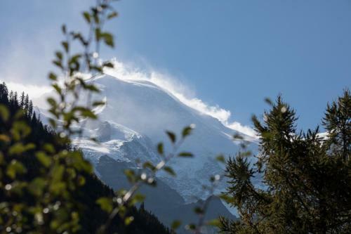 Apartamento R�sidence Les Chamois
