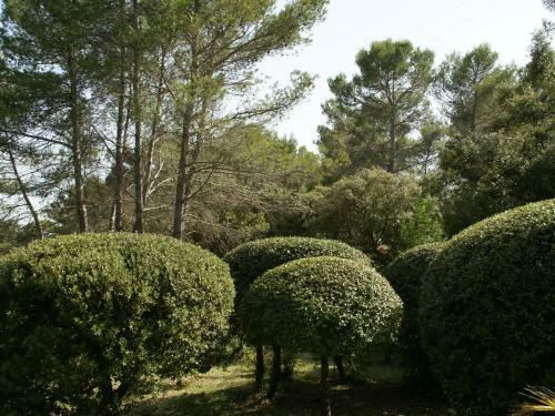 Spacious Holiday Home In Draguignan With Large Pool
