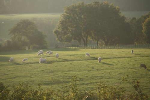 A La Poularde B&B