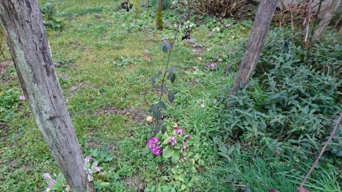 A La Poularde B&B