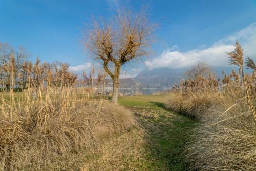 Apartamento Les Jardins Du Lac Duplex Priv�