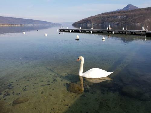 Bed & Breakfast La Baie Des Voiles