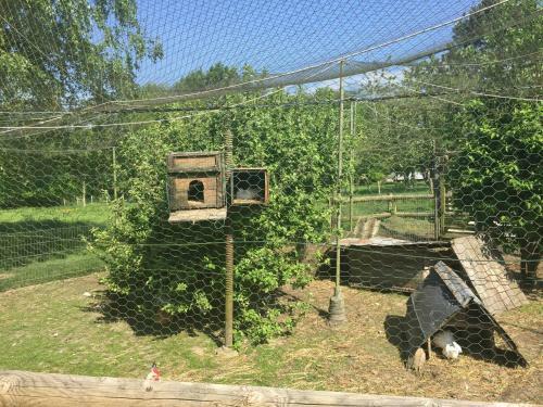 Bed & Breakfast Chambre Chez Corinne